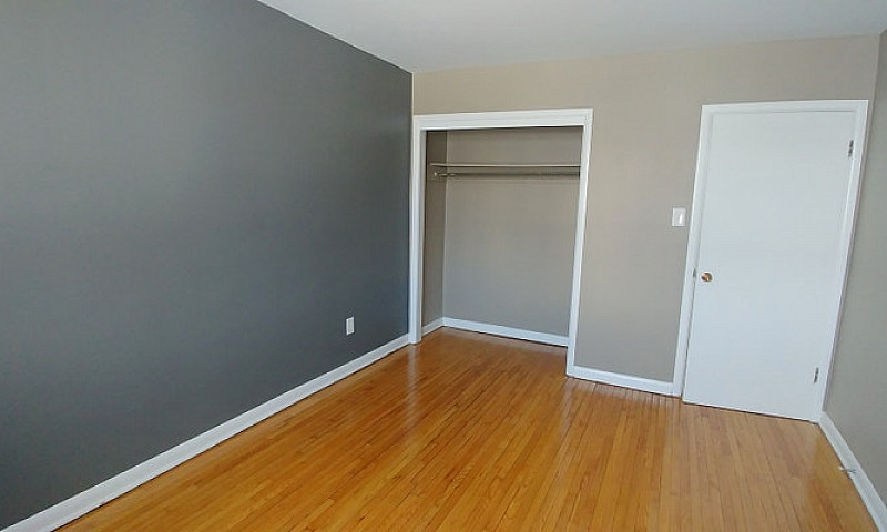 545 Young St - 1 Br ...