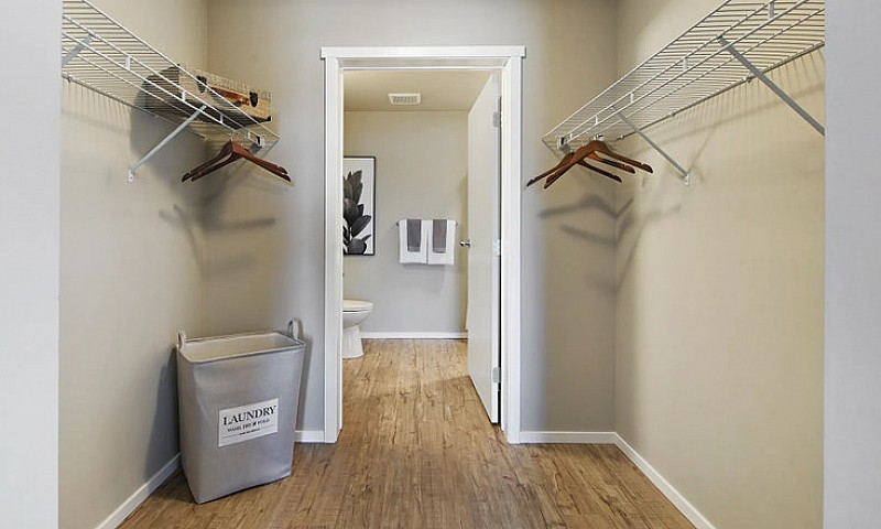Pet-Friendly One Bed...