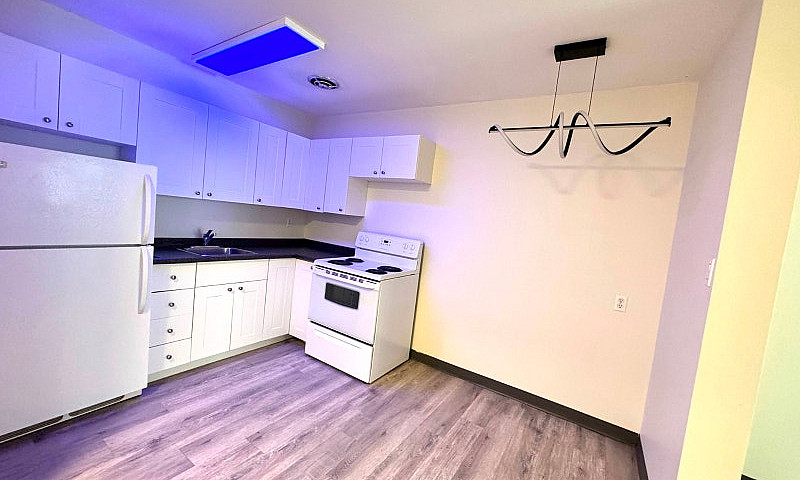 Renovated 1 Bd Apart...