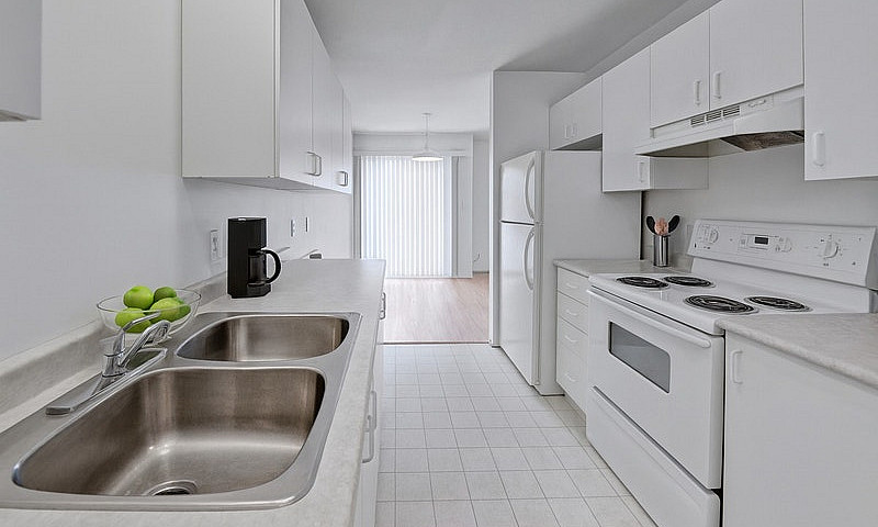 3 Bed X 1.5 Bath Apa...