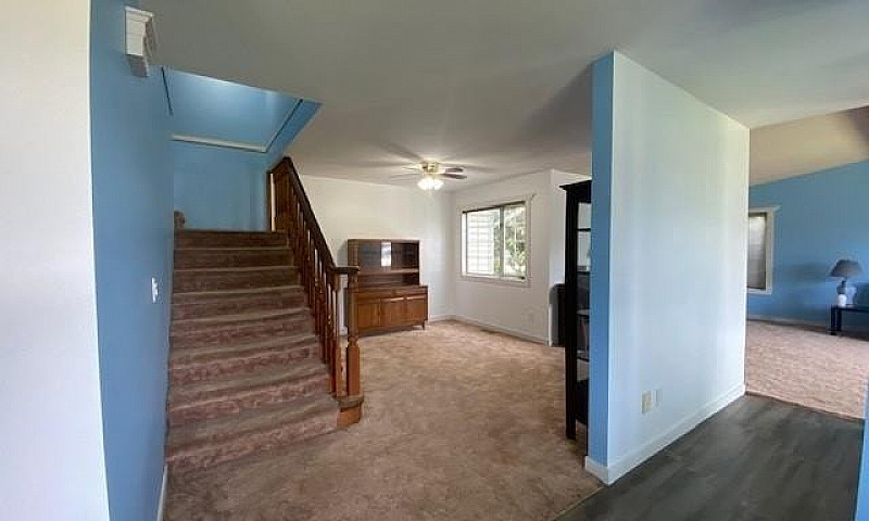 6442 Swanson Street,...