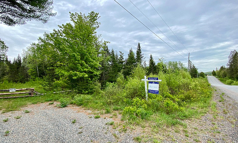Beautiful 5 Acre Lot...