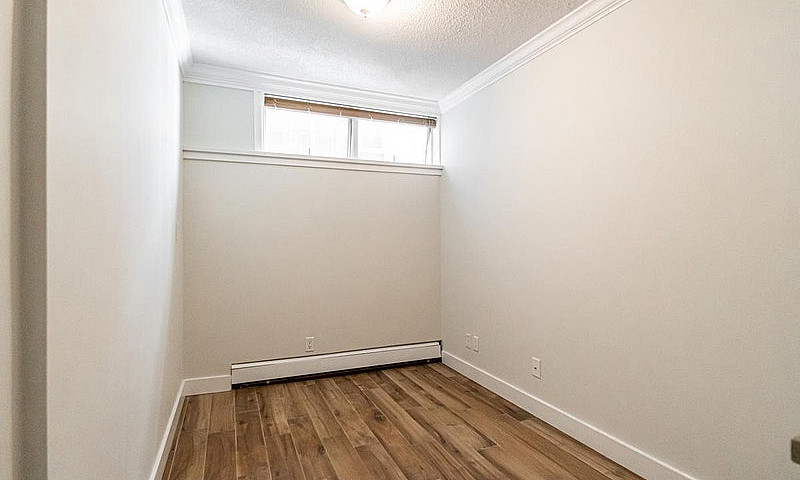 1 Bedroom Apartment ...