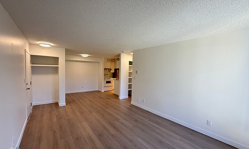 Modern 1 Bed 1 Bath ...