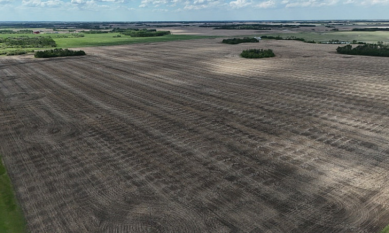 Quality Farmland Nea...
