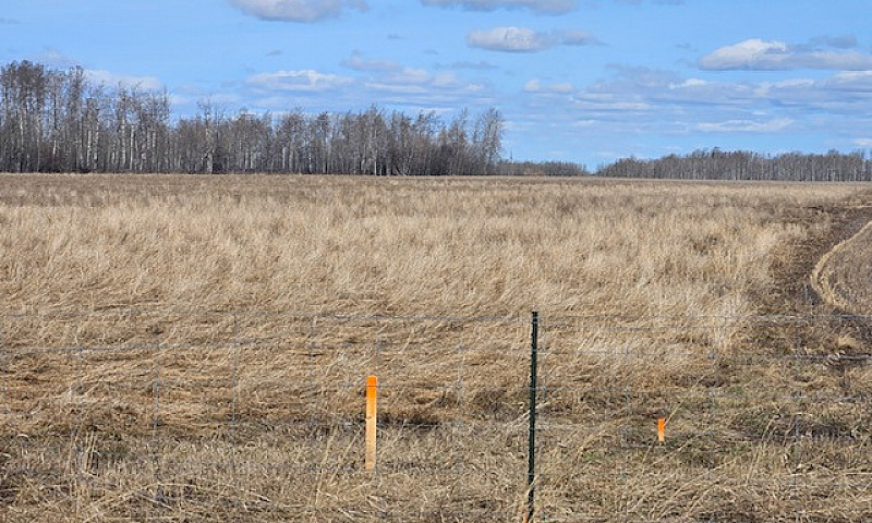 10.08 Acres - Vacant...