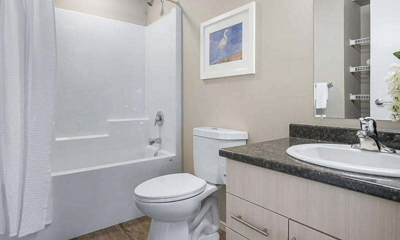 Pet-Friendly Three B...
