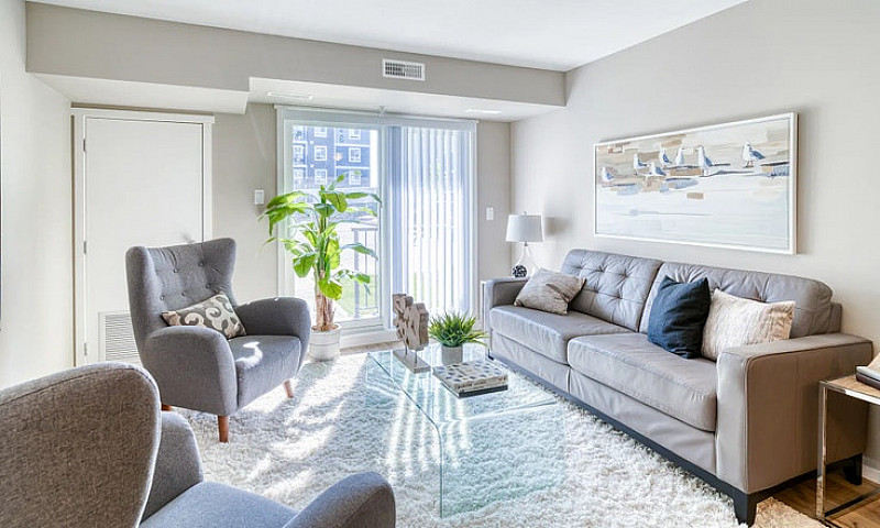 Pet-Friendly Three B...