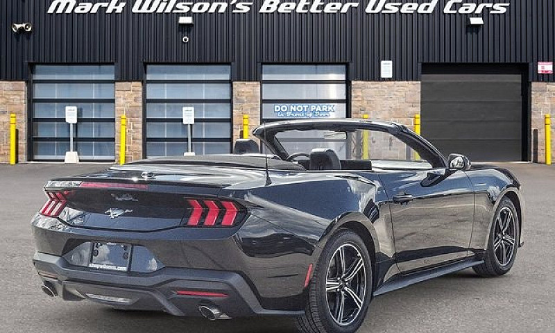 2025 Ford Mustang Co...