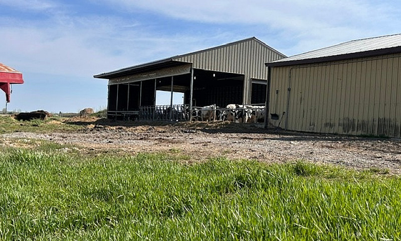 Dairy Farm For Sale...