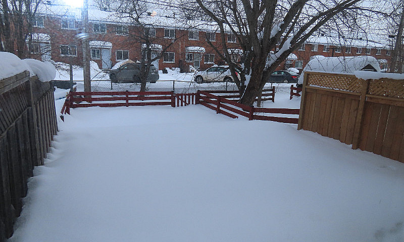 46 Ferguson Ave....