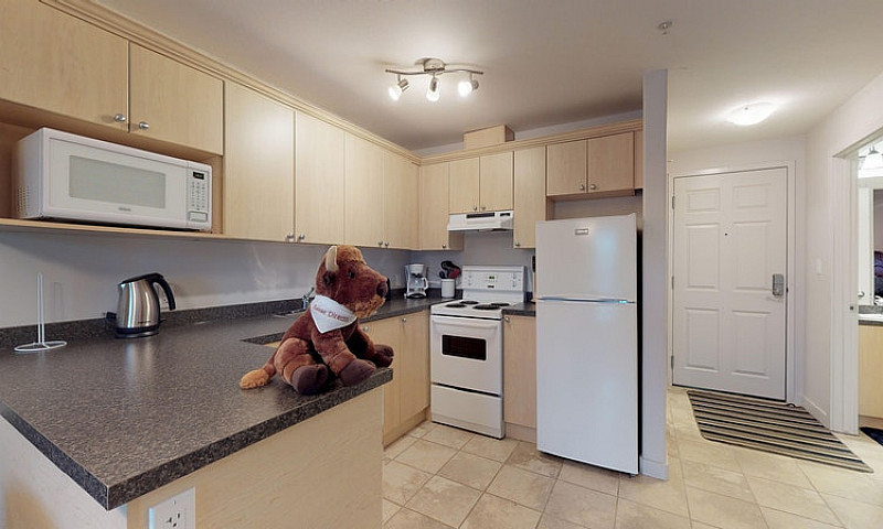 Executive Suites - 1...