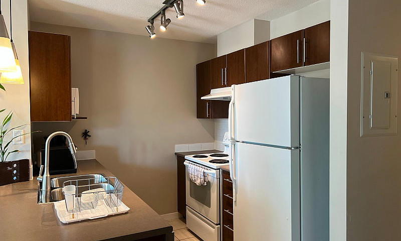 Fully Furnished 1 Be...