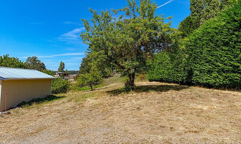 Acreage In The City!...
