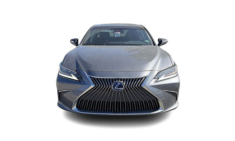 2019 Lexus Es 300H L...