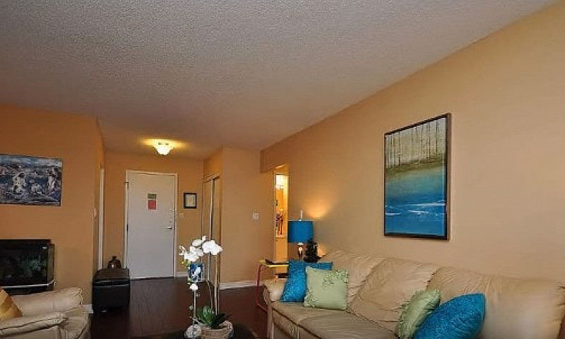 2 Bedroom + Solarium...