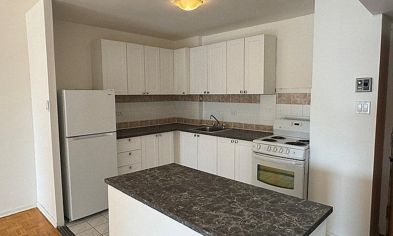 1 Bedroom/Studio 1 1...