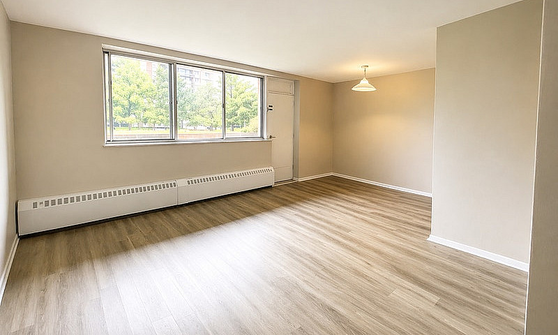 1 Bedroom Apartment ...