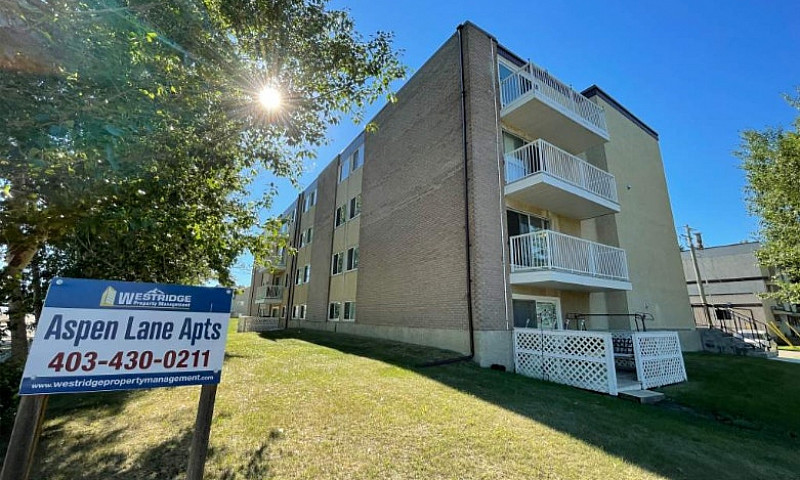 1 Bedroom Apartment ...