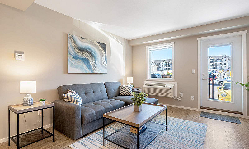 Pet-Friendly Three B...
