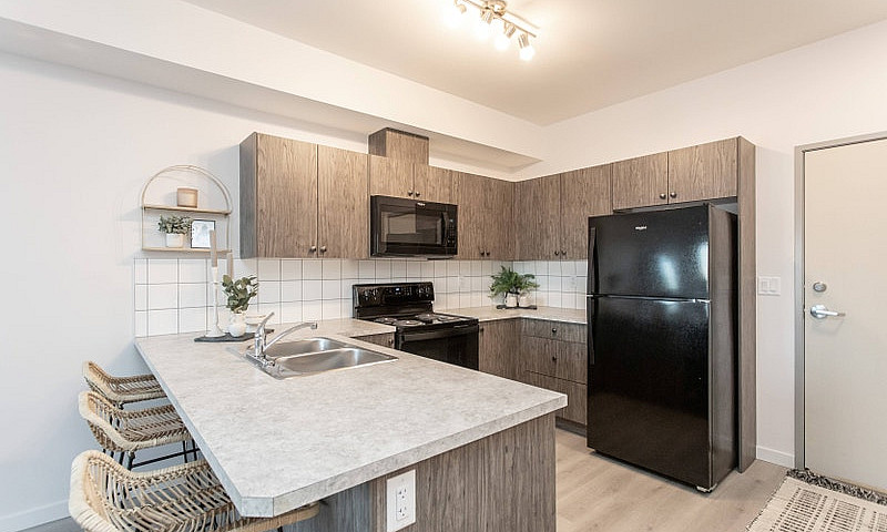 1 Bedroom Apartment ...