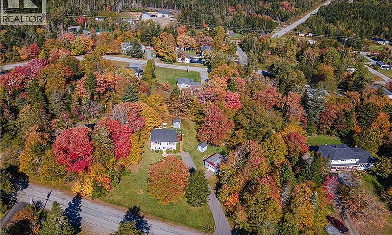 10 Birch Lane Willow...