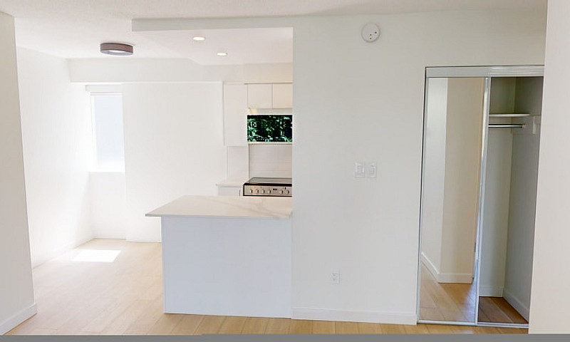 Apartment For Rent A...