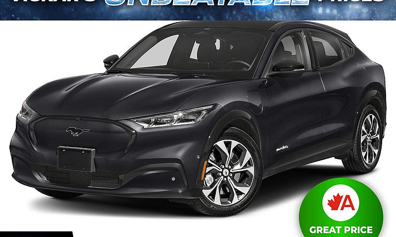2021 Ford Mustang Ma...