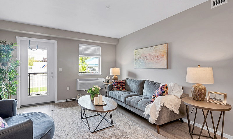Pet-Friendly One Bed...