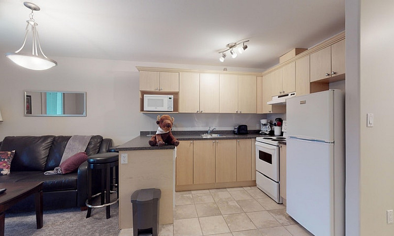 Executive Suites - 1...