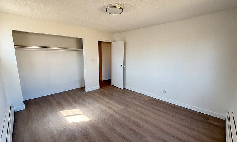 Modern & Spacious 2 ...