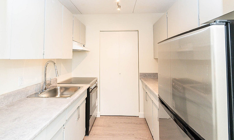 1 Bedroom Basement P...