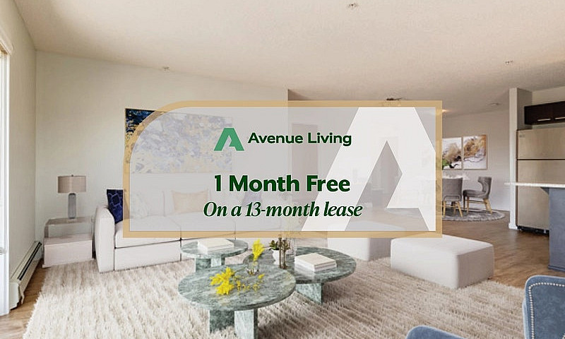 Modern Apartments Wi...