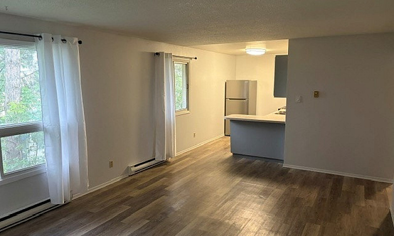 Spacious And Bright!...