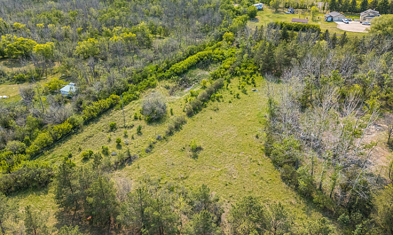 Serviced 10-Acre Tre...