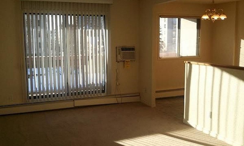 1 Bed 1 Bath Unit In...