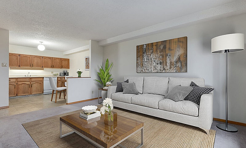 Modern Apartments Wi...