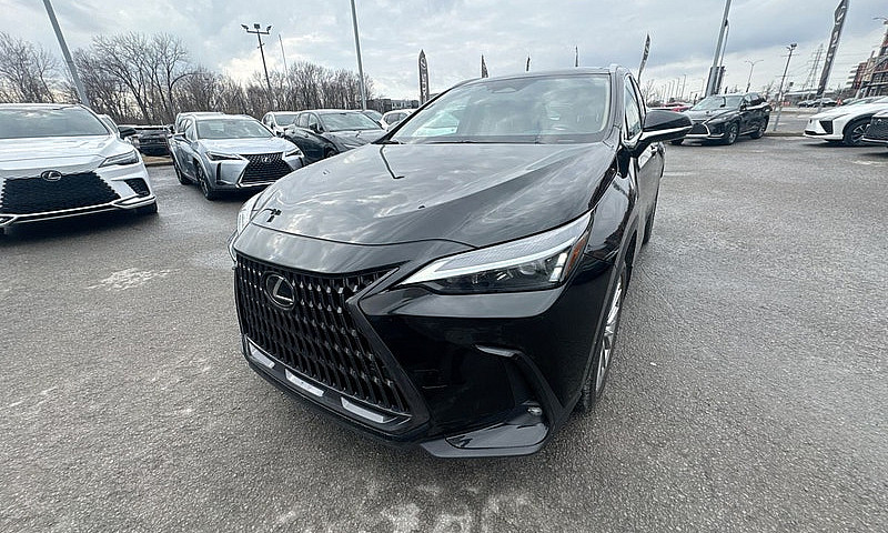 2026 Lexus Nx 350 / ...
