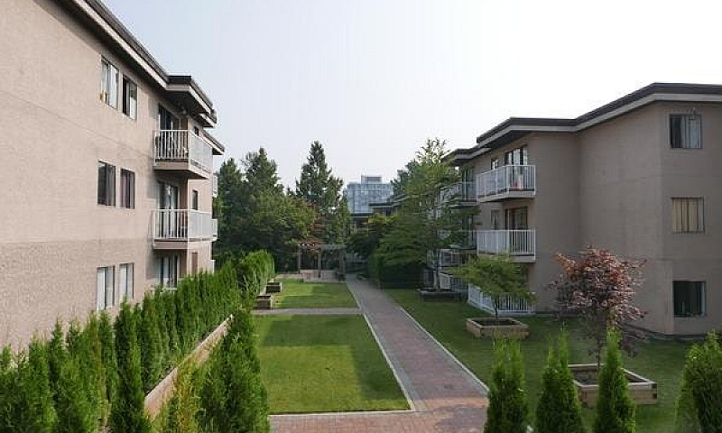 3 Bedroom Apartment ...
