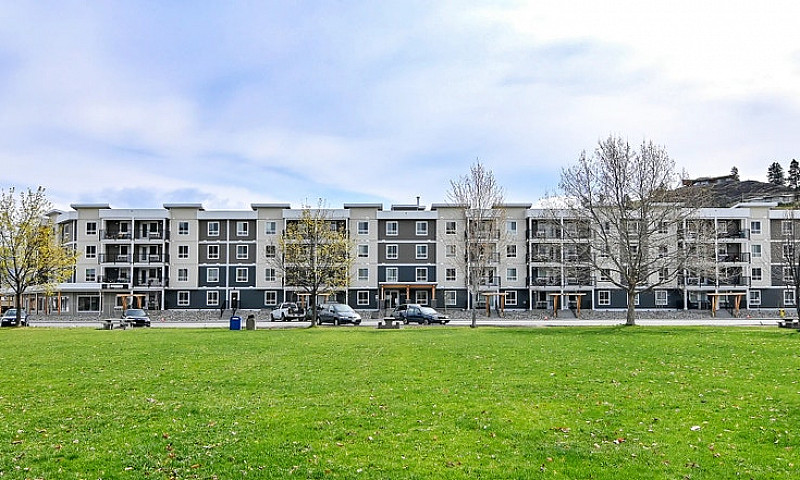 Pet-Friendly One Bed...