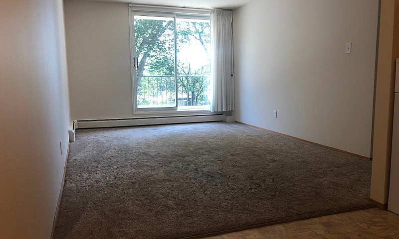 1 Bedroom Suite - Al...