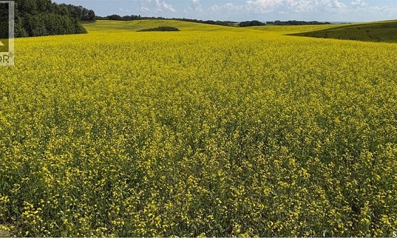 Gauthier Farm Keys R...
