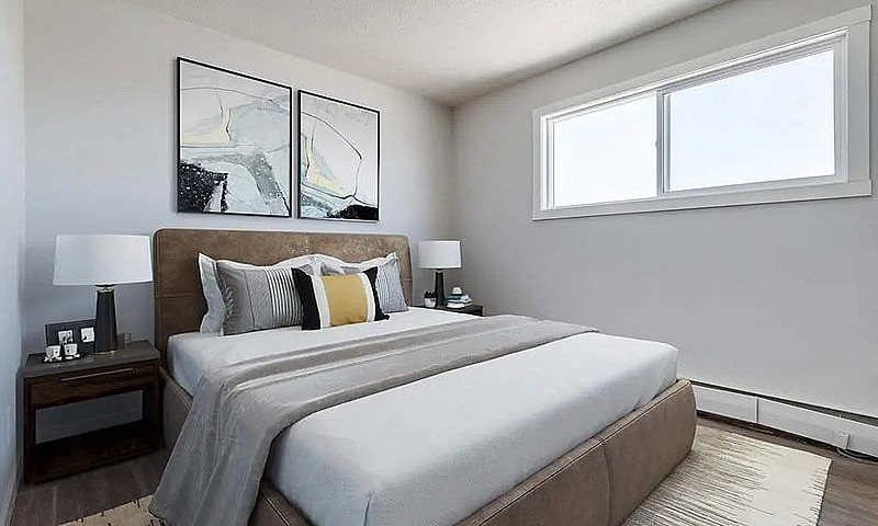 Modern Apartments Wi...