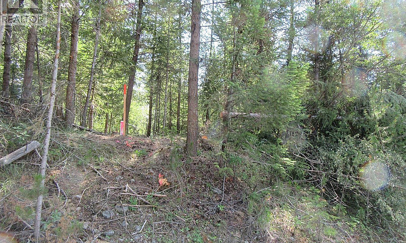 Lot 172 Womack Road ...