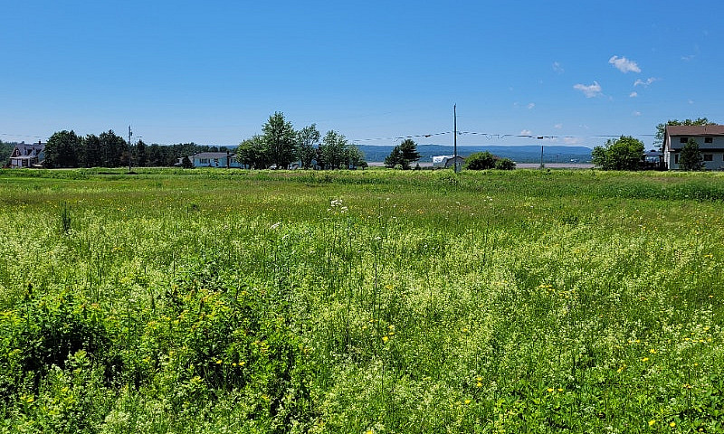 Lot For Sale Memramc...