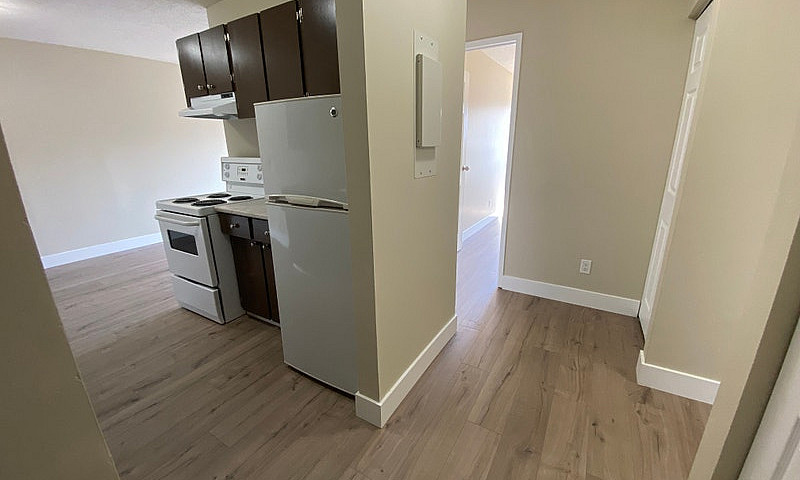 2 Bed, 1 Bath Starti...