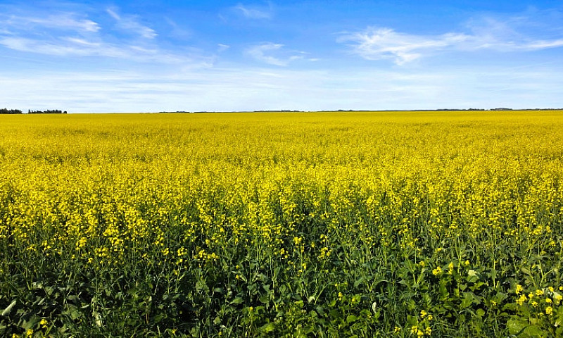 306.39 Acres | Rm Of...