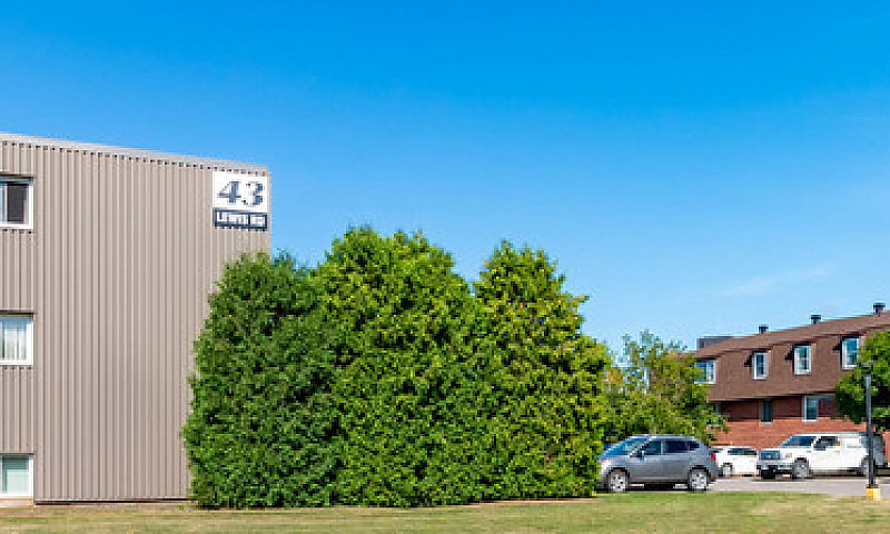 Lewis Court Apts - 1...
