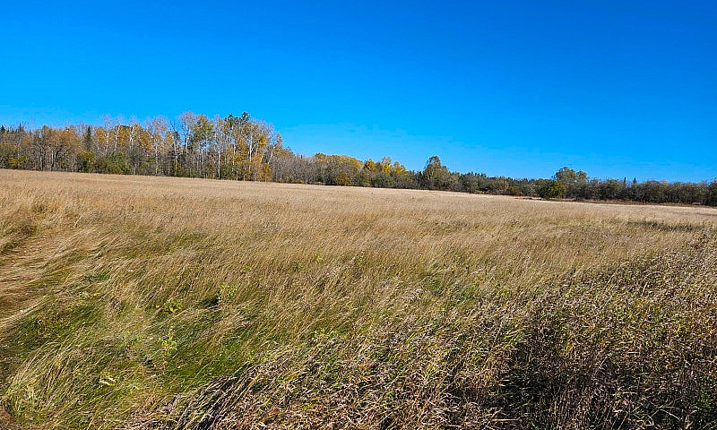 17.5 Acre Property...
