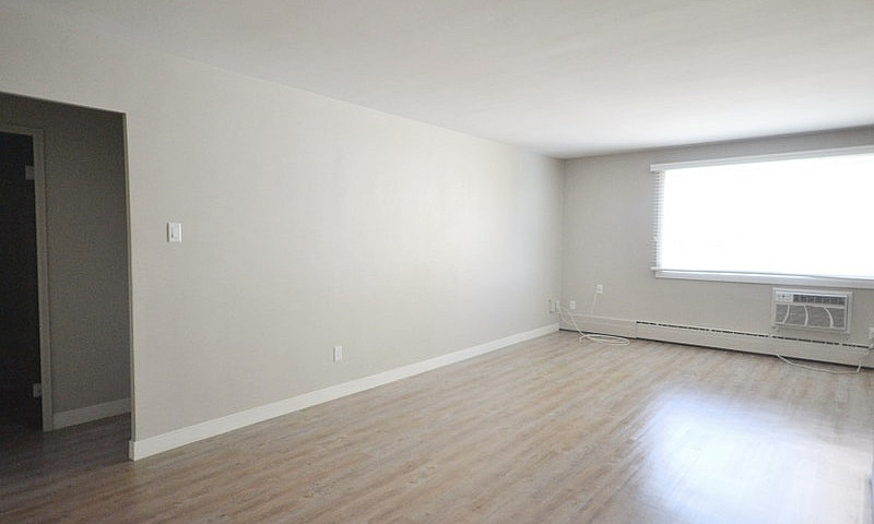 Bright And Renovated...